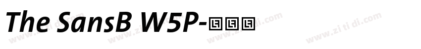 The SansB W5P字体转换